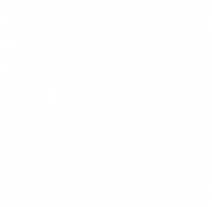 wilden school logo white